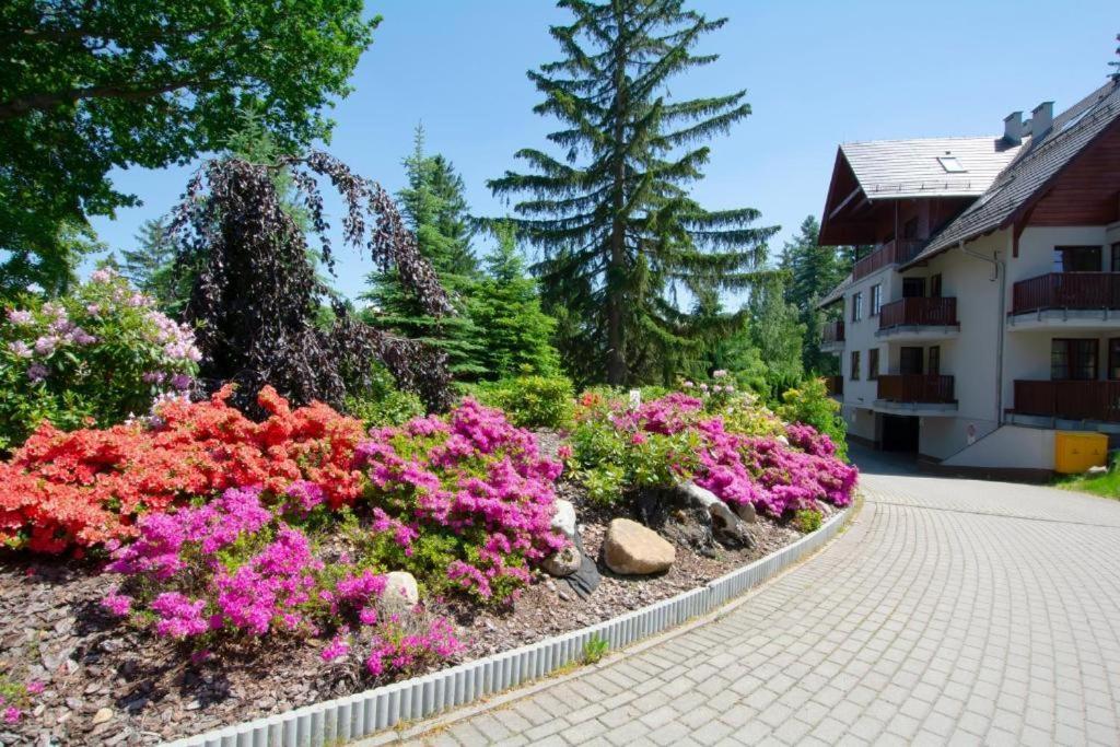 Apartament Polana-คาร์ปัตซ์ ภายนอก รูปภาพ